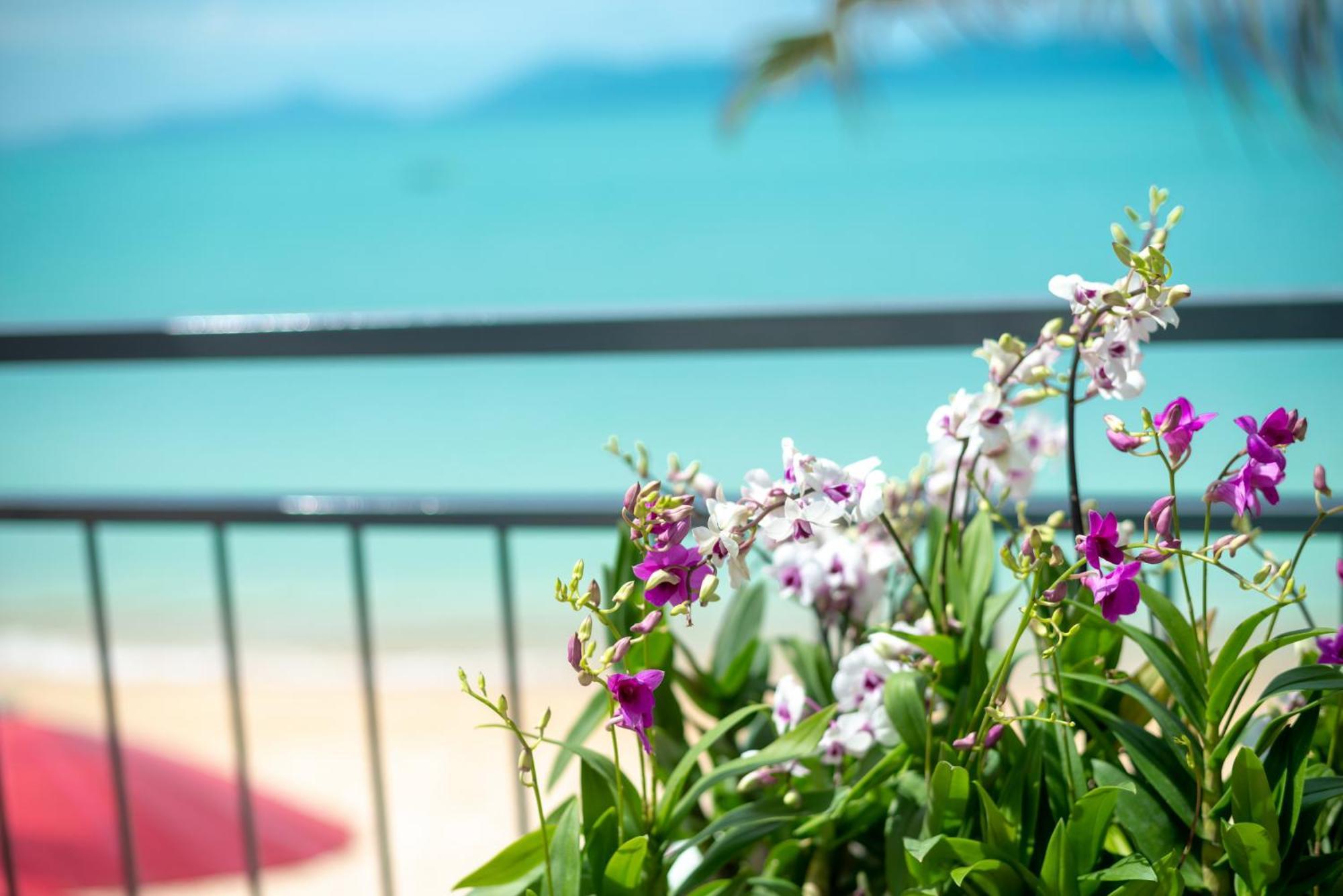 The Florist Resort Маенам Экстерьер фото